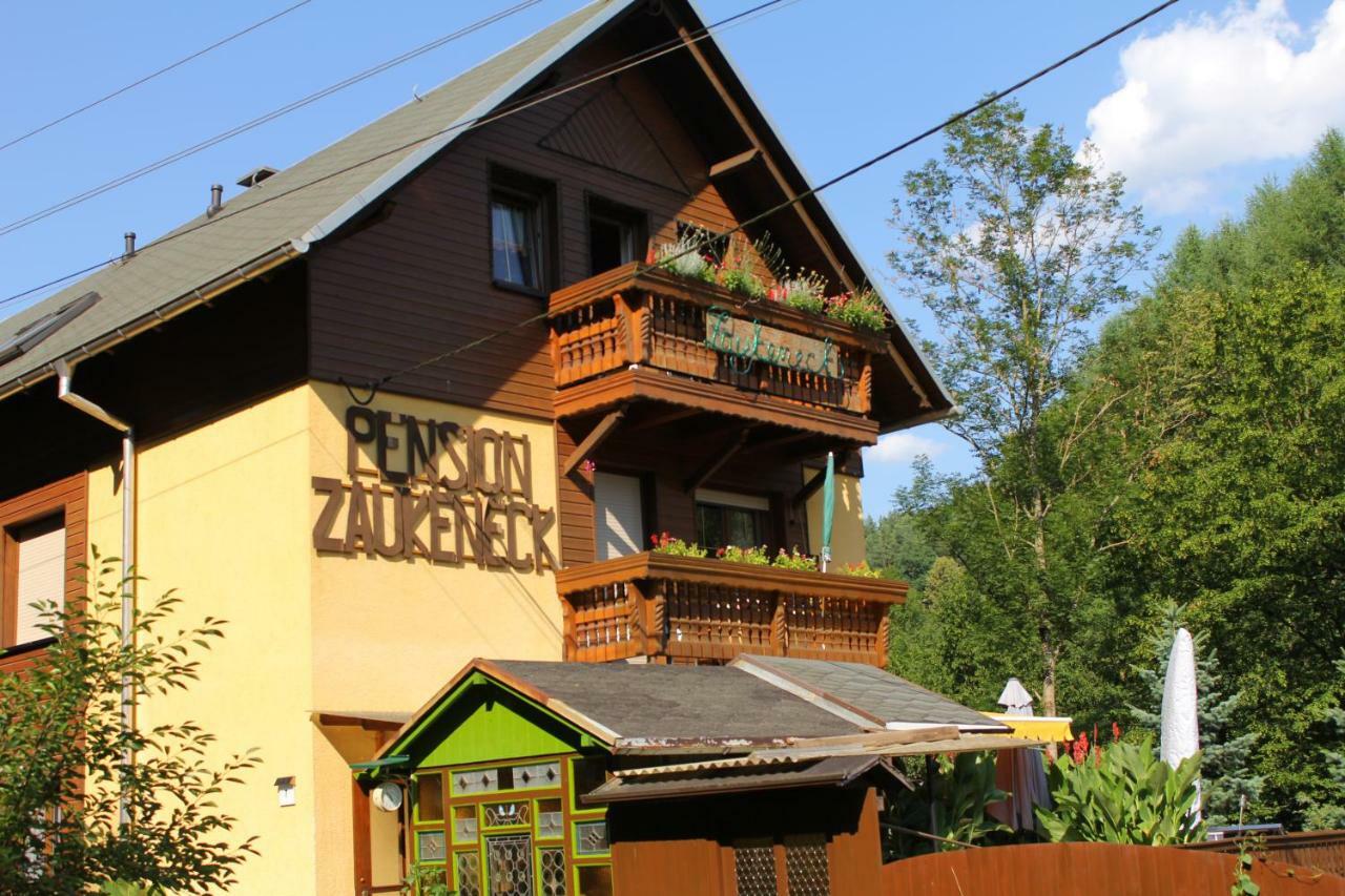 Pension Zaukeneck Бад Шандау Екстериор снимка
